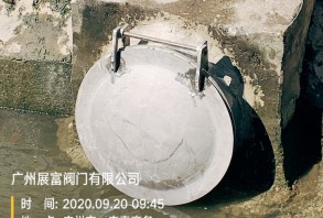不銹鋼弧面拍門(mén)、拱形拍門(mén)